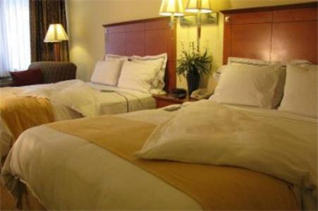 Charleston Airport Hotel 北查尔斯顿 客房 照片